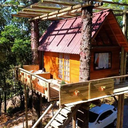 Casa Na Arvore Com Hidro, Piscina, Trilha, Cavalo Bento Gonçalves Dış mekan fotoğraf