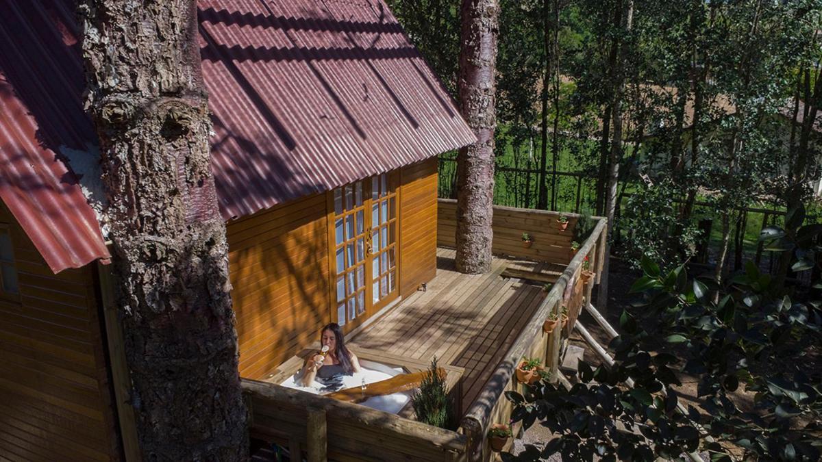 Casa Na Arvore Com Hidro, Piscina, Trilha, Cavalo Bento Gonçalves Dış mekan fotoğraf