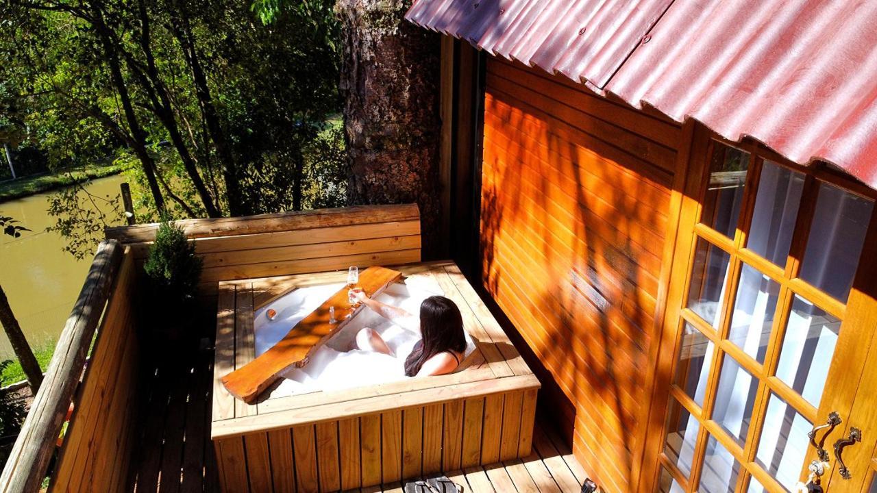 Casa Na Arvore Com Hidro, Piscina, Trilha, Cavalo Bento Gonçalves Dış mekan fotoğraf