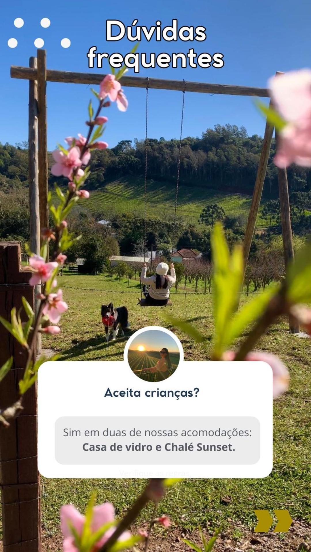 Casa Na Arvore Com Hidro, Piscina, Trilha, Cavalo Bento Gonçalves Dış mekan fotoğraf