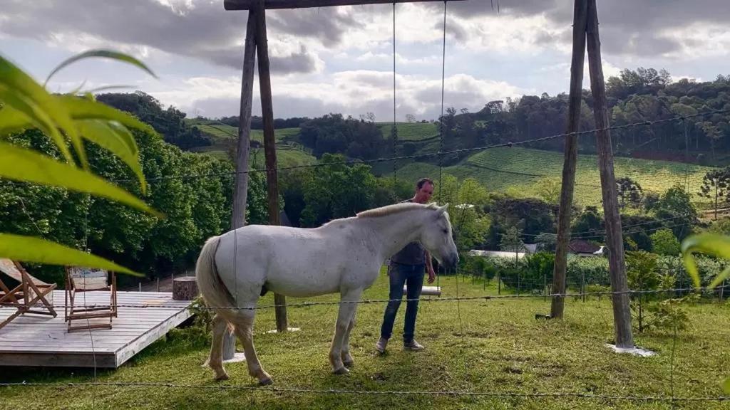 Casa Na Arvore Com Hidro, Piscina, Trilha, Cavalo Bento Gonçalves Dış mekan fotoğraf
