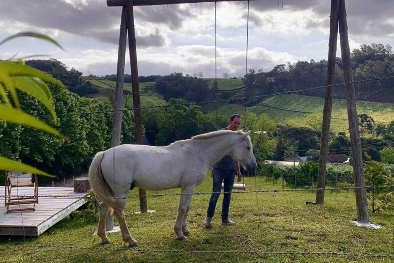 Casa Na Arvore Com Hidro, Piscina, Trilha, Cavalo Bento Gonçalves Dış mekan fotoğraf