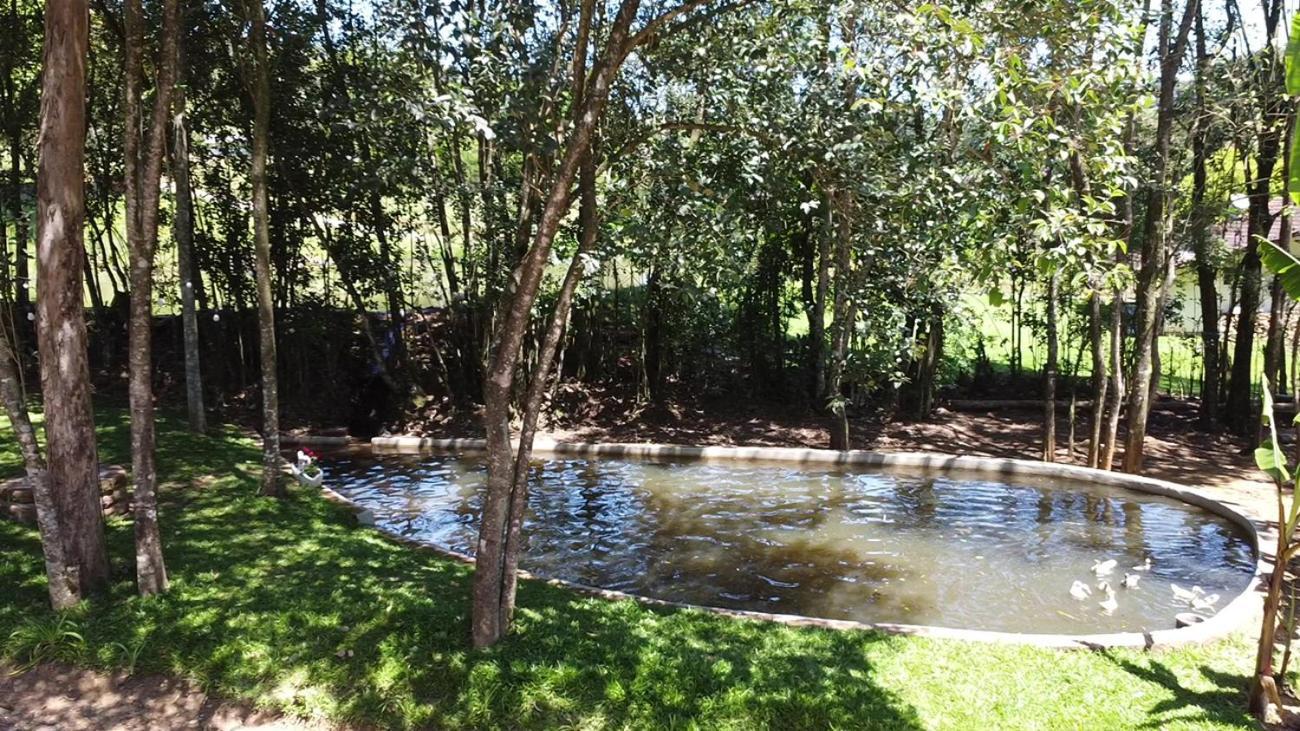 Casa Na Arvore Com Hidro, Piscina, Trilha, Cavalo Bento Gonçalves Dış mekan fotoğraf
