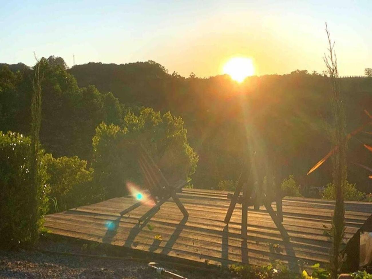 Casa Na Arvore Com Hidro, Piscina, Trilha, Cavalo Bento Gonçalves Dış mekan fotoğraf